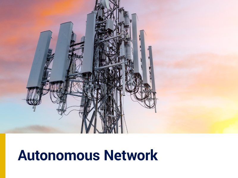 NTT DATA Autonomous Network leverages network disaggregation and 5G disruption to provide consultancy and solutions.