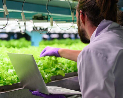 Innovative strategies: AI-powered sustainable smart farming