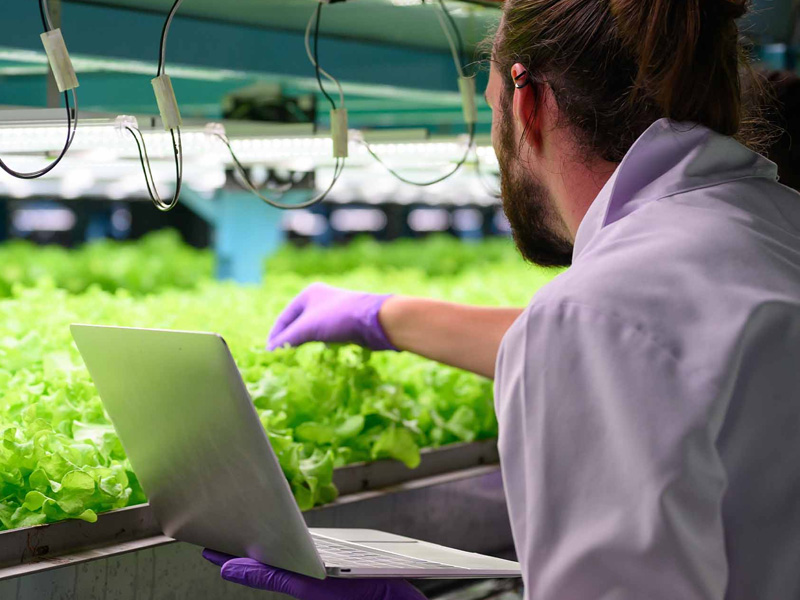 Innovative strategies: AI-powered sustainable smart farming
